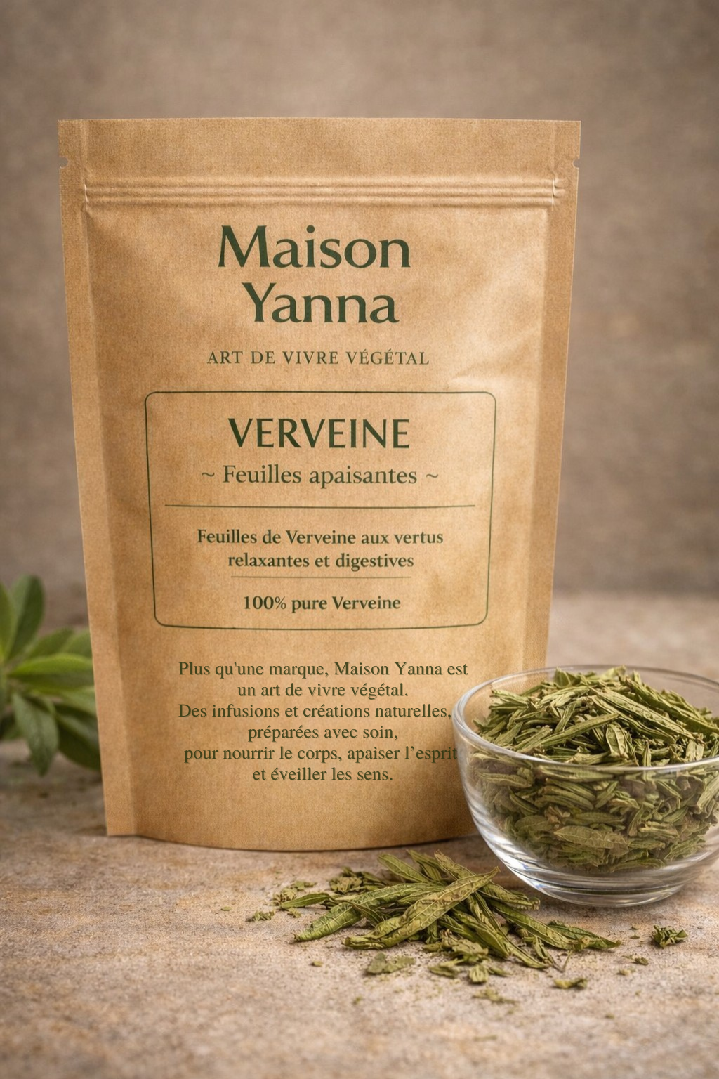 Verveine