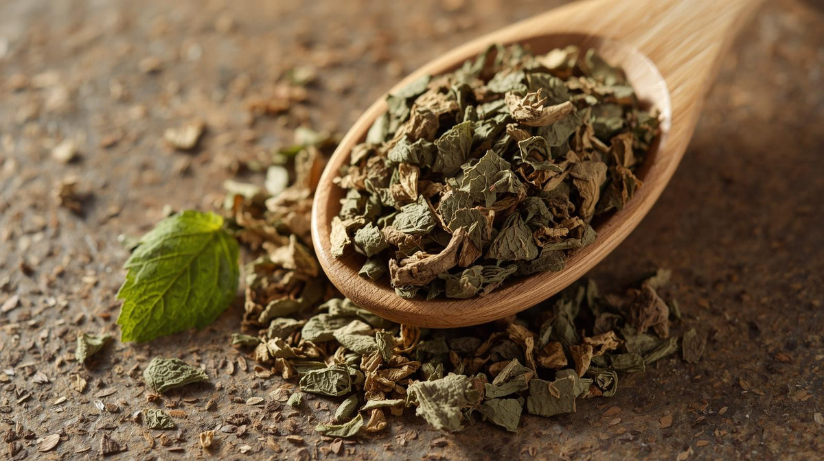 Plantes & Bien-être