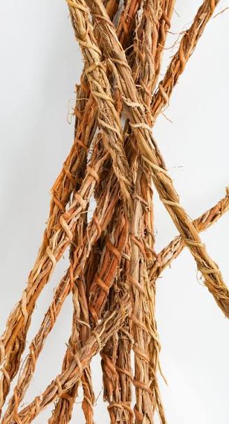 Khamaré (Racine de Vétiver)