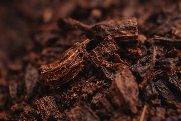 4 CÔTÉS – Tetrapleura tetraptera