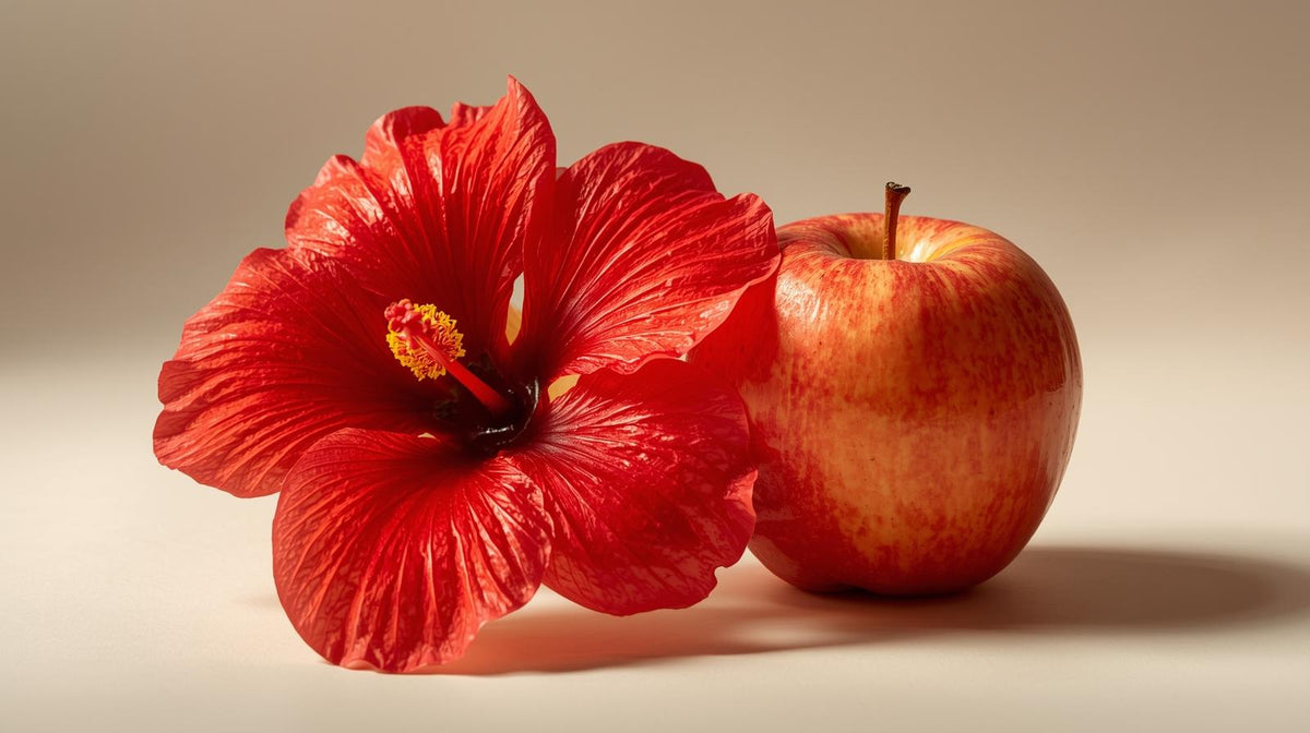 Hibiscus & pomme