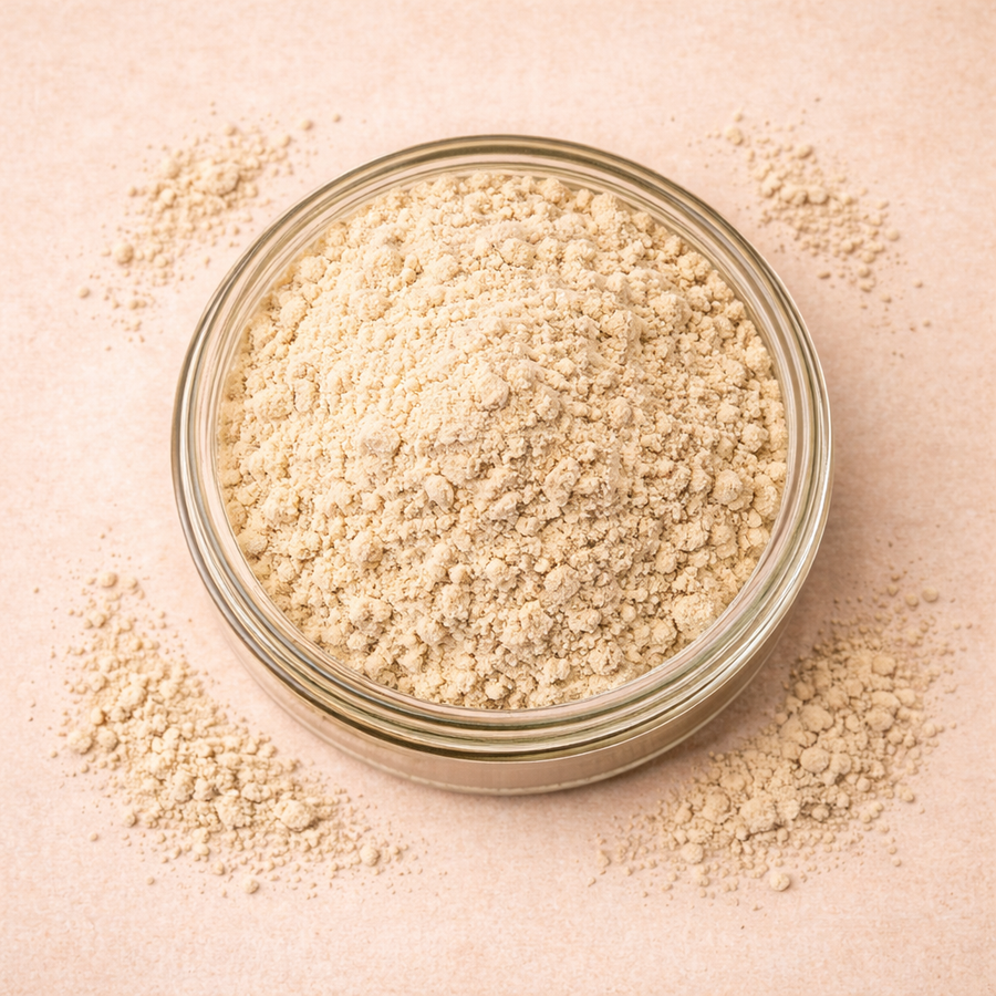 Shatavari - Racine poudre