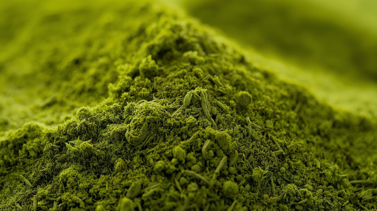 Matcha 100% Taïshan